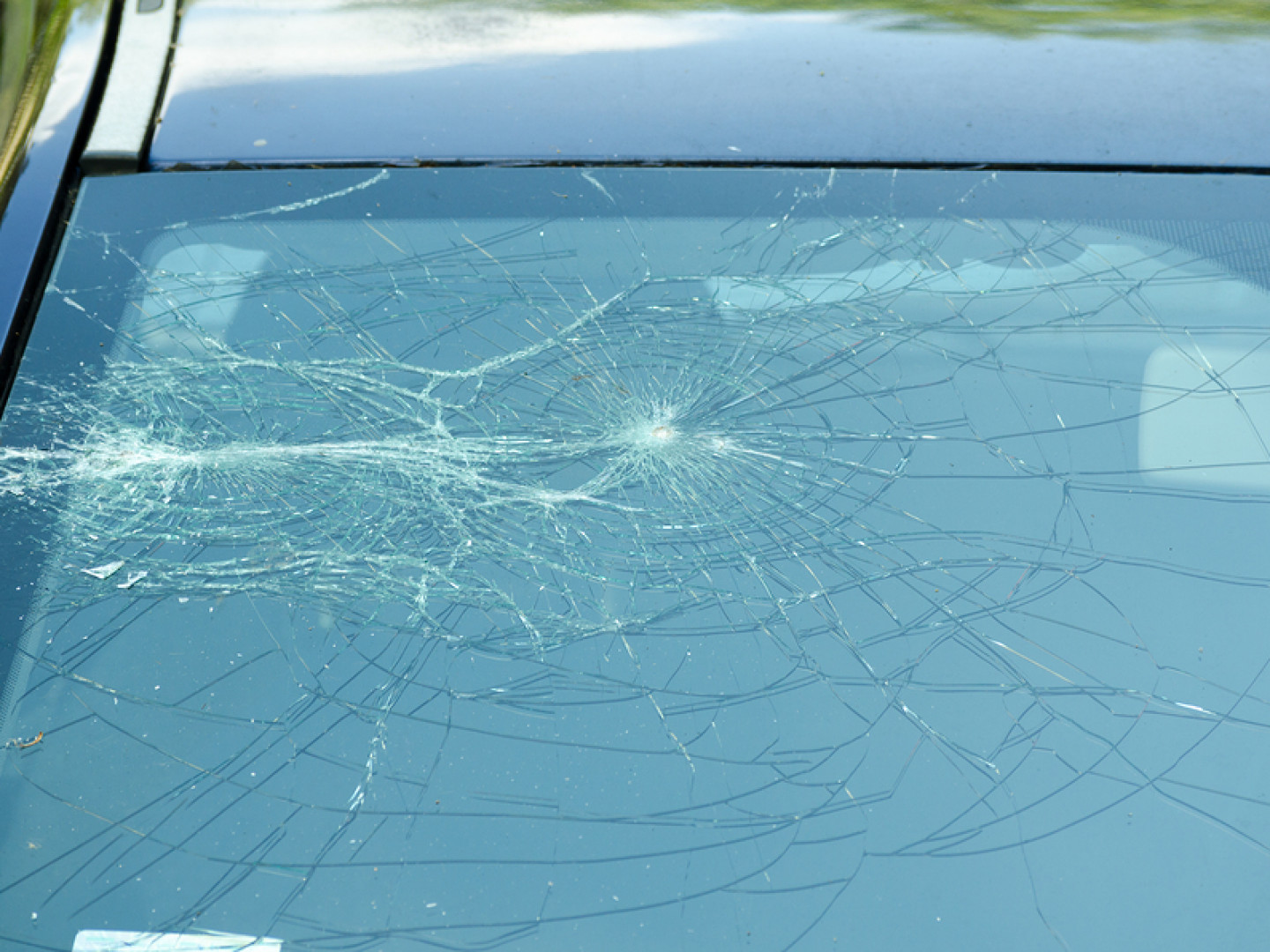 Windshields | Distinctive Auto Body